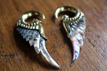 Load image into Gallery viewer, ABALONE WING WEIGHTS