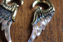 Load image into Gallery viewer, ABALONE WING WEIGHTS