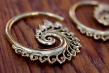 Load image into Gallery viewer, BRASS SPIRAL WEIGHTS