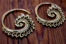 Load image into Gallery viewer, BRASS SPIRAL WEIGHTS
