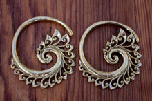 Load image into Gallery viewer, BRASS SPIRAL WEIGHTS