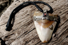Load image into Gallery viewer, MEGALODON SHARK TOOTH