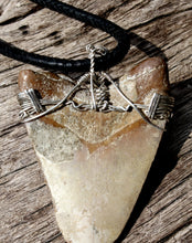 Load image into Gallery viewer, MEGALODON SHARK TOOTH