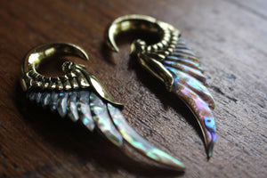 ABALONE WING WEIGHTS
