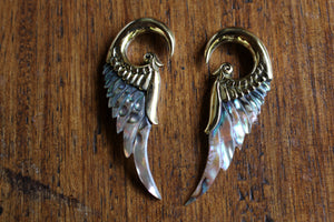 ABALONE WING WEIGHTS